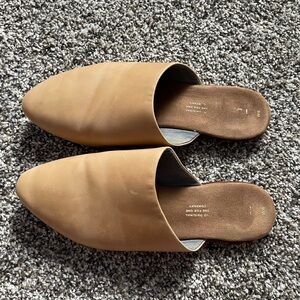 Toms Jade Mule shoes!